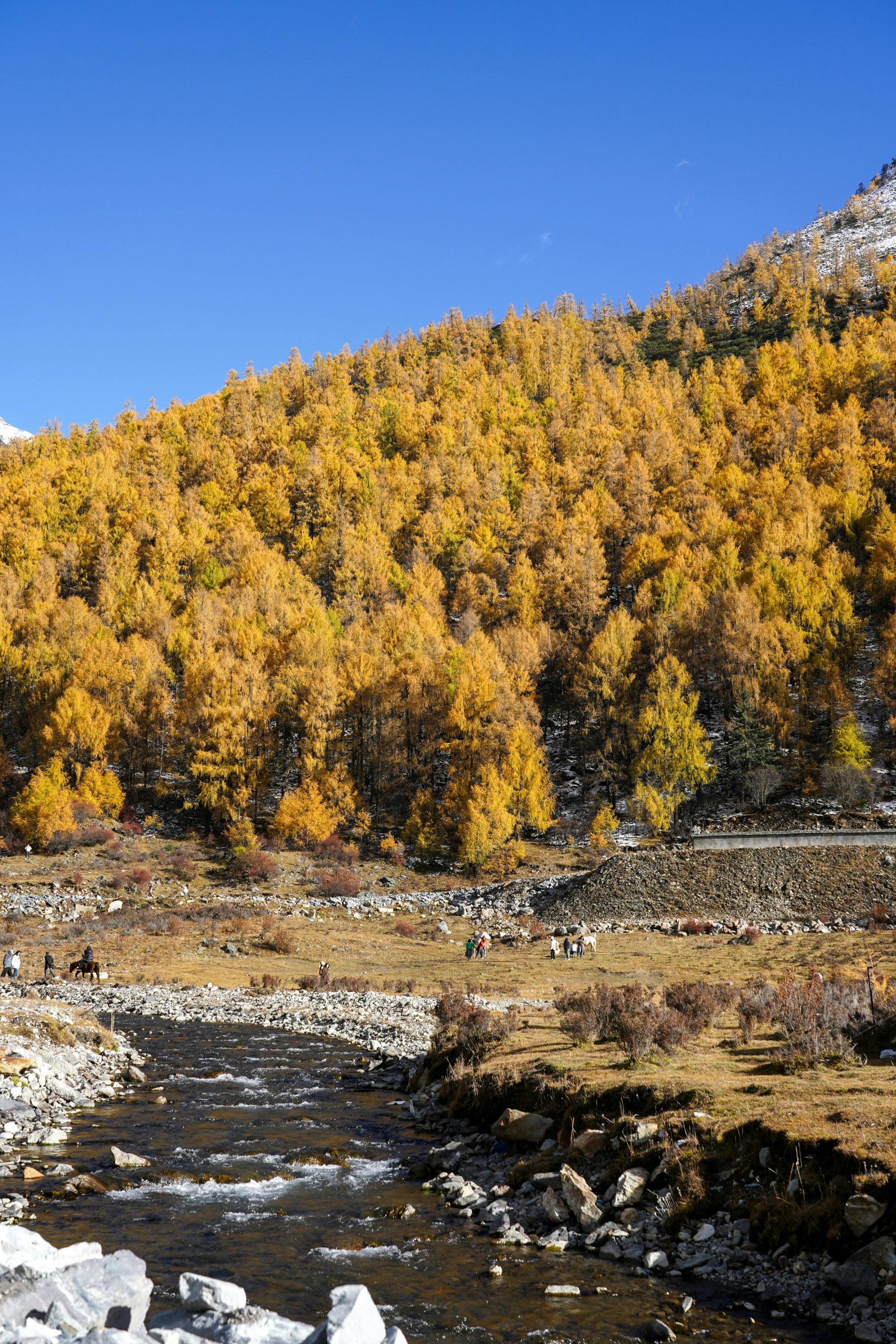 Beautiful autumn valley with a flowing river and golden trees under a clear blue sky.